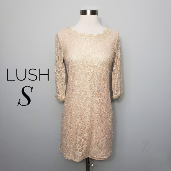 Lush Small Cream Eyelash Lace Three Quarter Sleeve Shift Dress - Picture 9 of 9